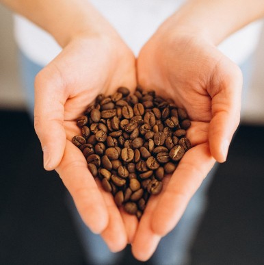 Cafe_de_specialite_arbre_a_cafe_Les_Triplettes_Nantes