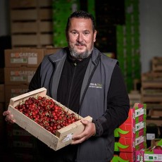fruits légumes biologiques