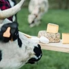 Beurre crème lait fromage